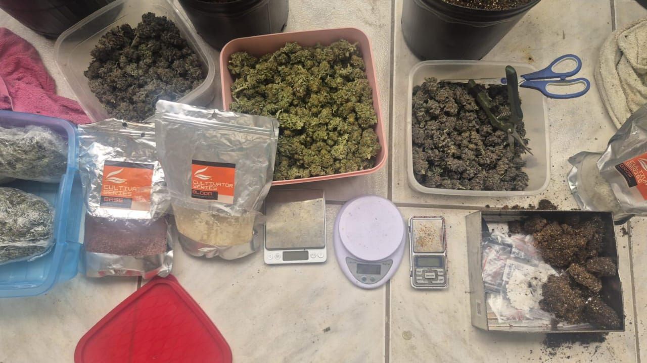 Cultivo Maconha Lapinha 02