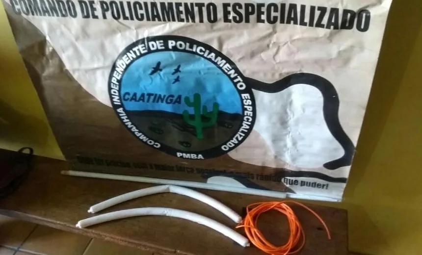 Explosivos utilizados em ataques a bancos são encontrados dentro de casa em Sento Sé