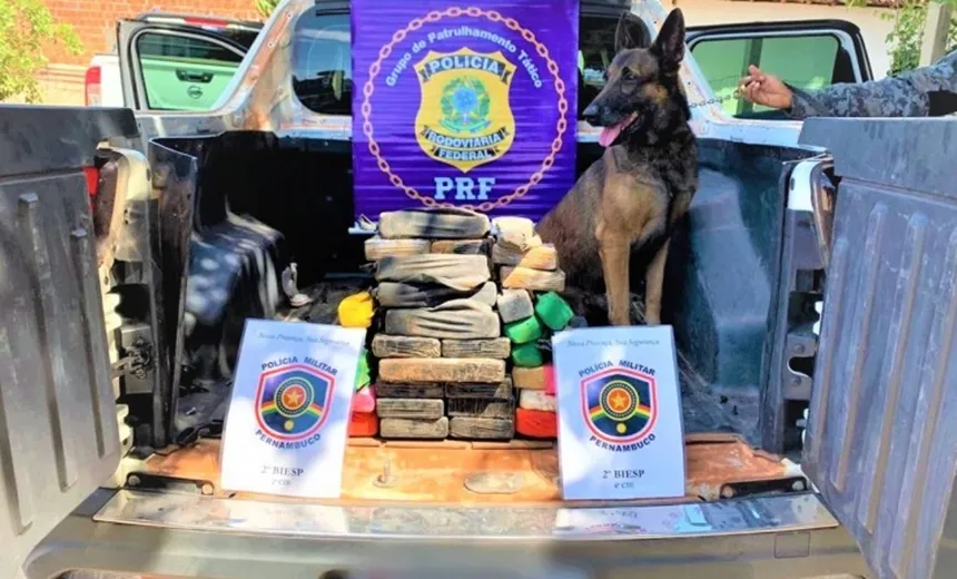 Homem é preso com 30 quilos de cocaína em compartimento secreto de veículo em Juazeiro