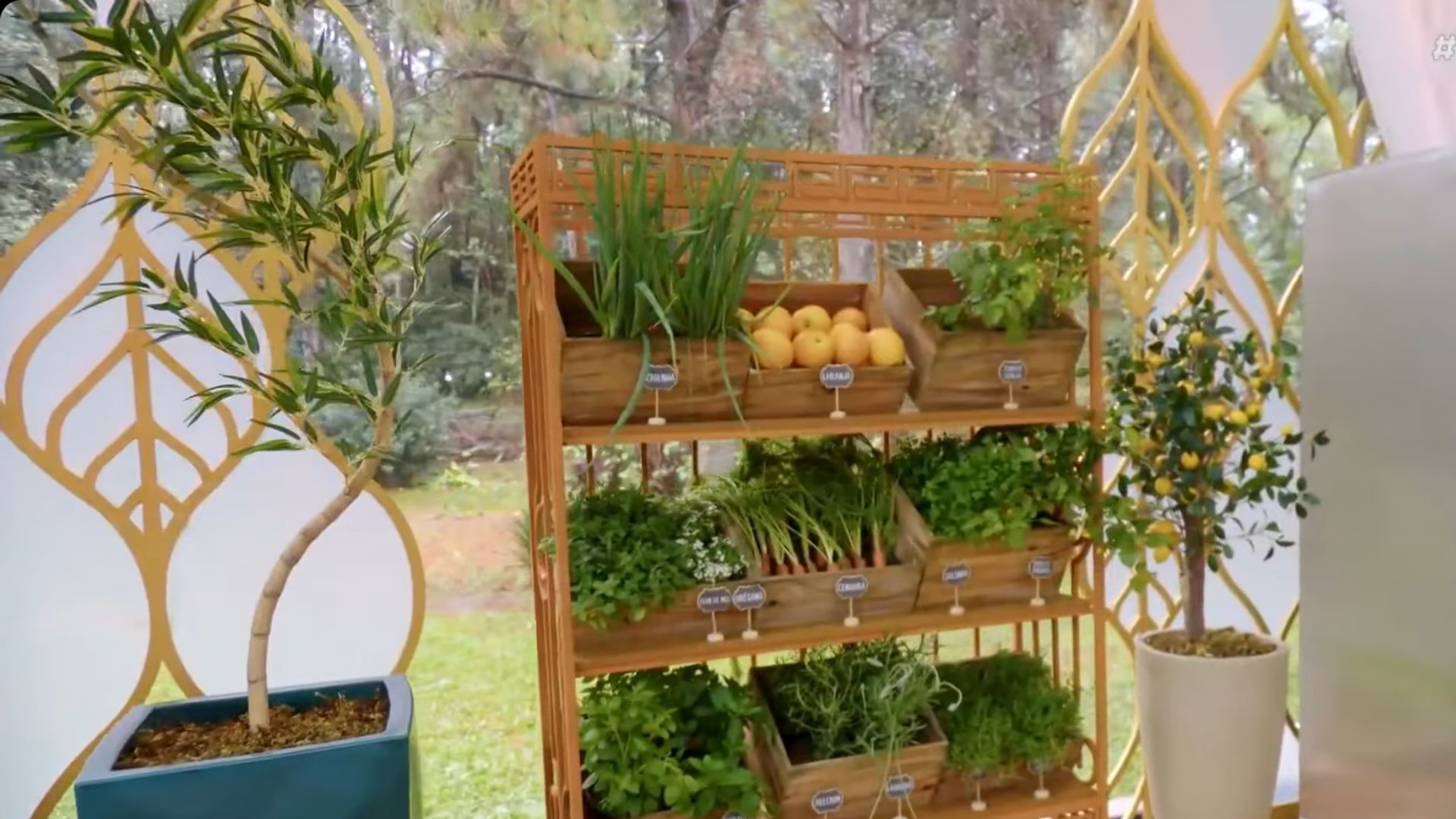 Horta é novidade nesta temporada do Bake Off Brasil
