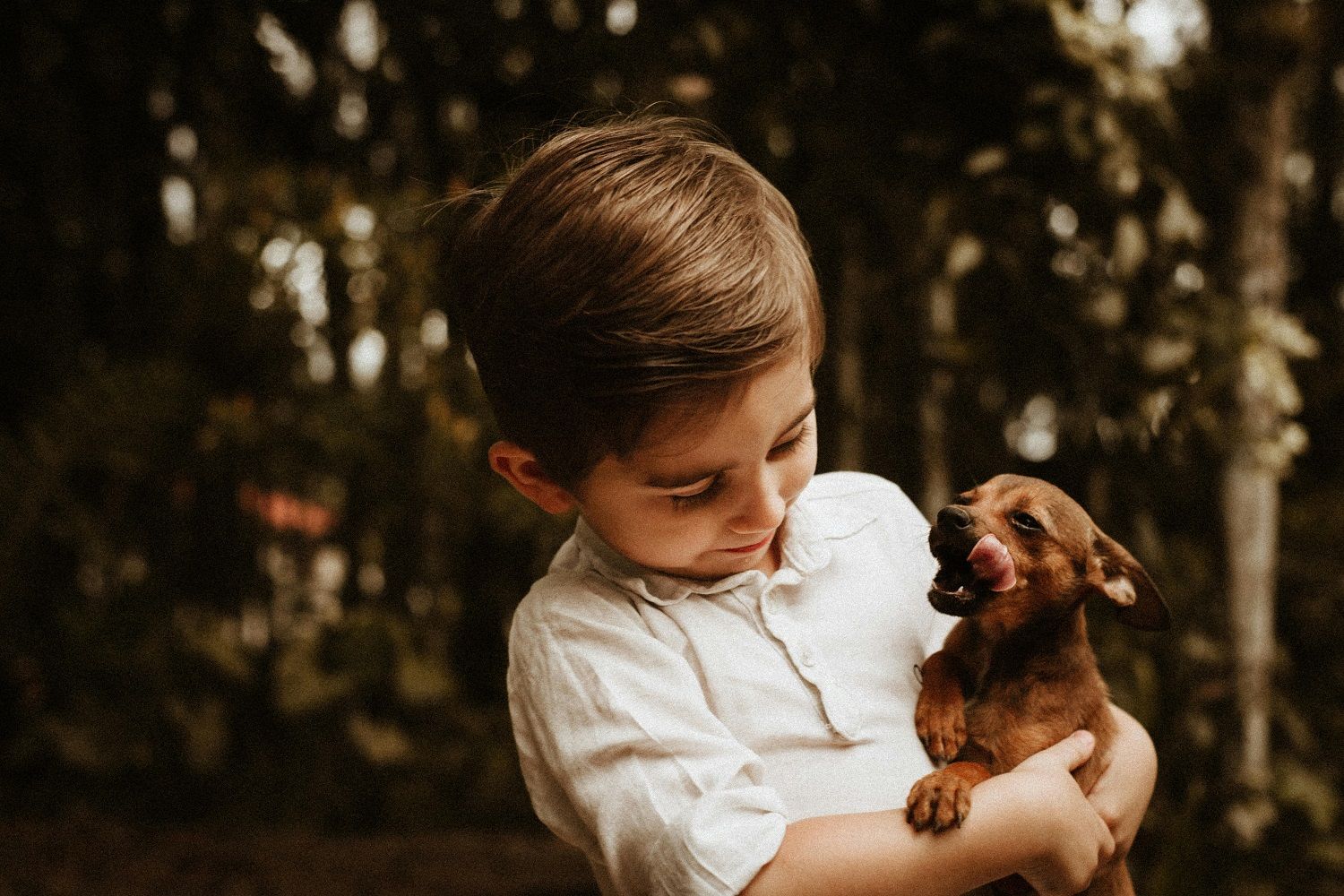 Esse tipo de escolha costuma ocorrer quando o cão é adotado como companheiro pessoal. | Foto: Ilustrativa/Pexels