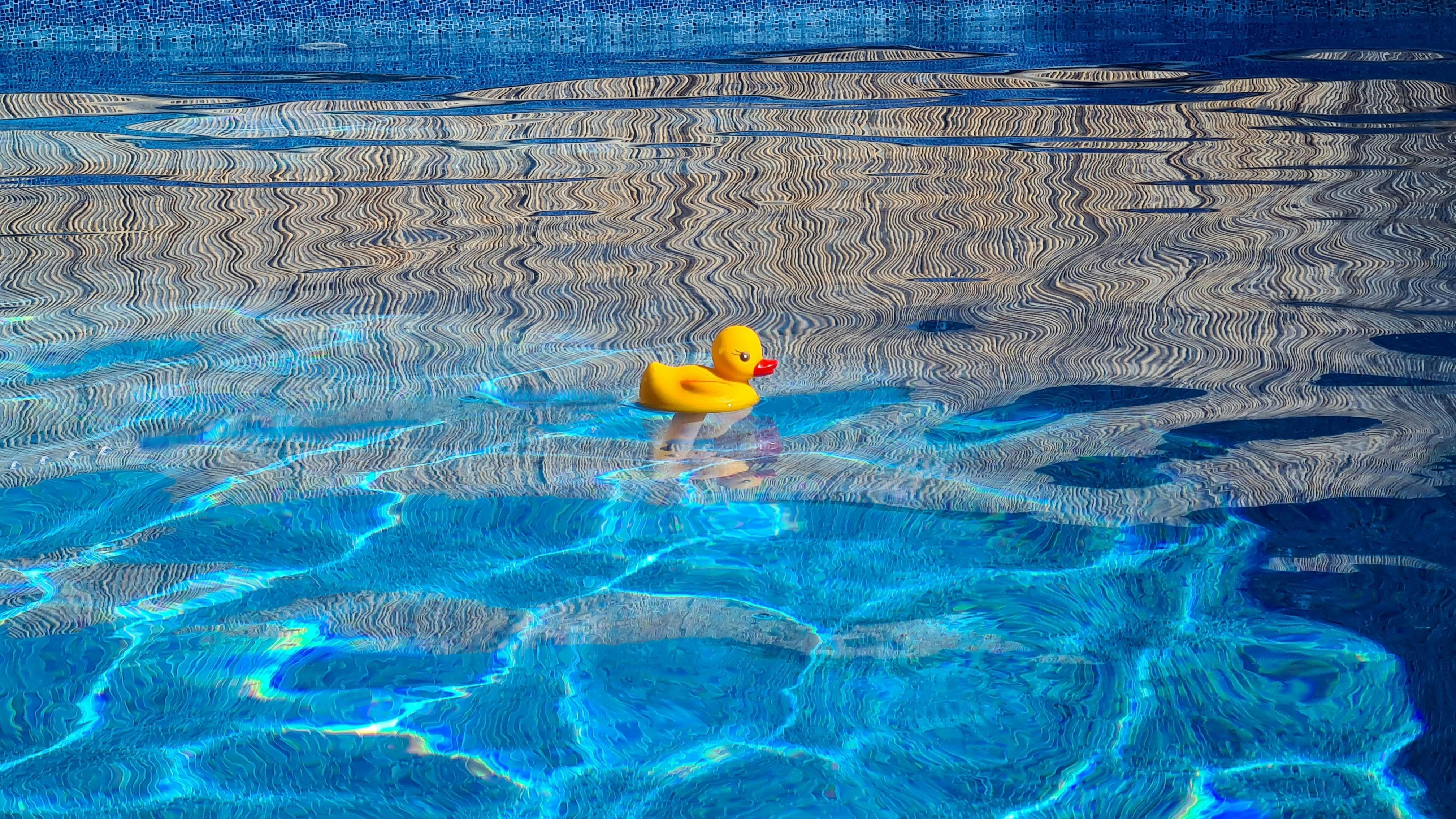  Piscina.|  Foto: Ilustra&ccedil;&atilde;o |  Pexels Edgard 