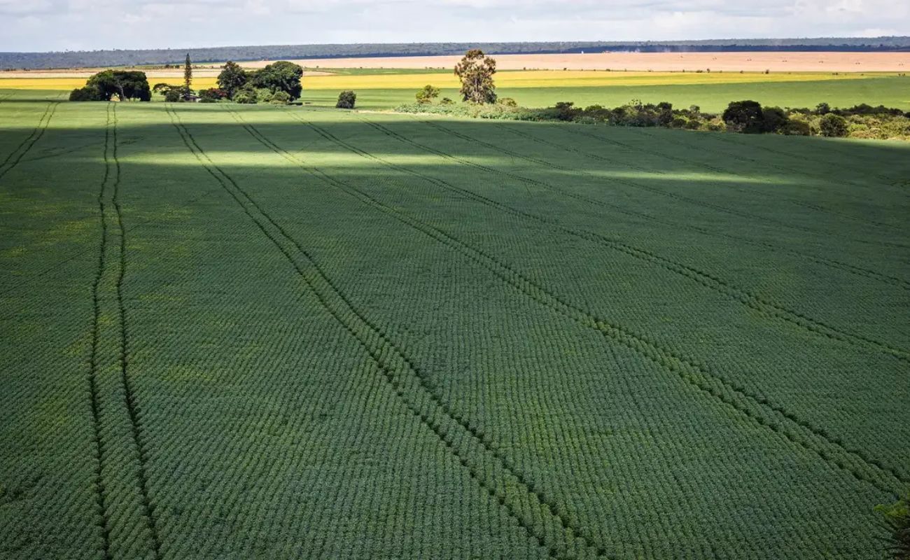 Infraestrutura, insegurança e seca: Desafios do agronegócio na Bahia; CNA/ Wenderson Araujo/Trilux