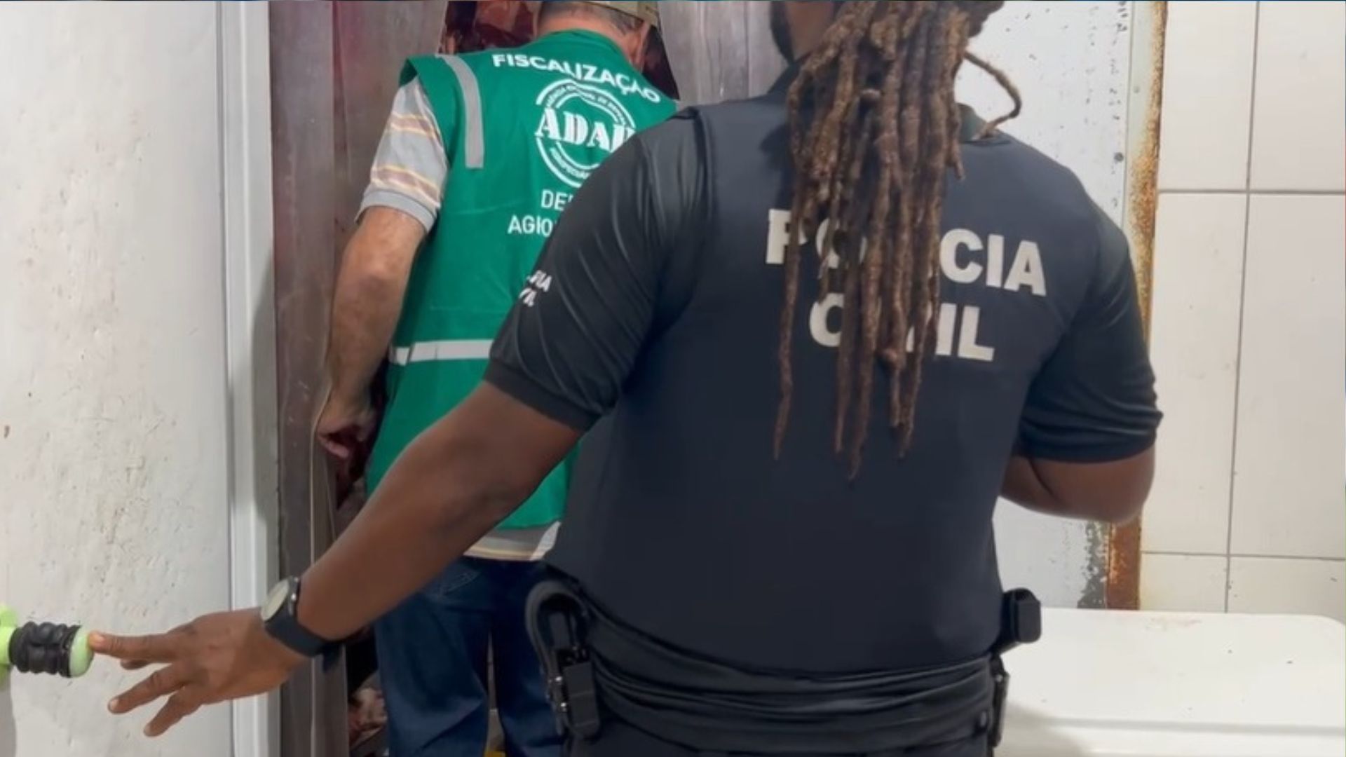 Furto E Abate De Gado