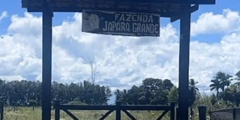 Segundo informações da Polícia Rodoviária Federal (PRF), o grupo indígena também exige a revisão da distribuição das terras de terras/Foto: Reprodução