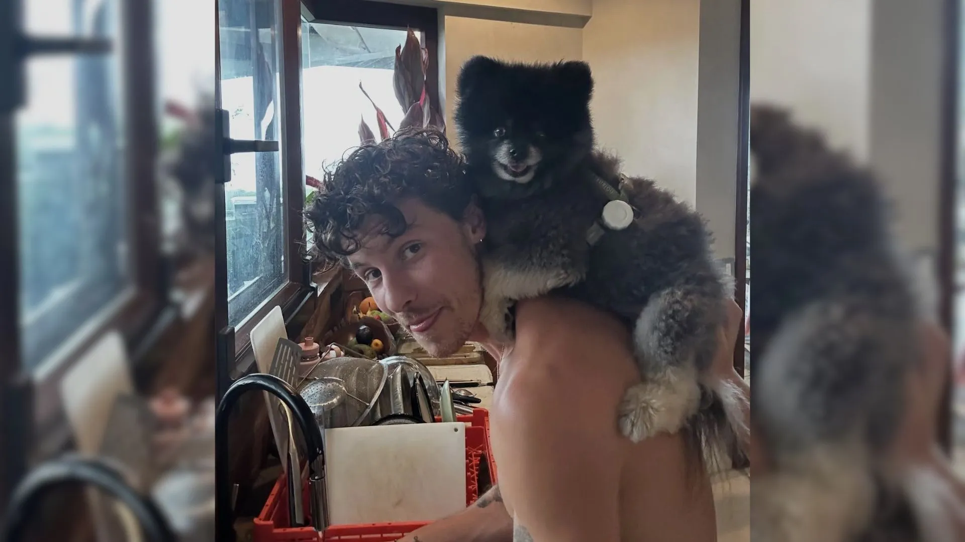 Shawn Mendes lavando pratos na casa de Ivete Sangalo