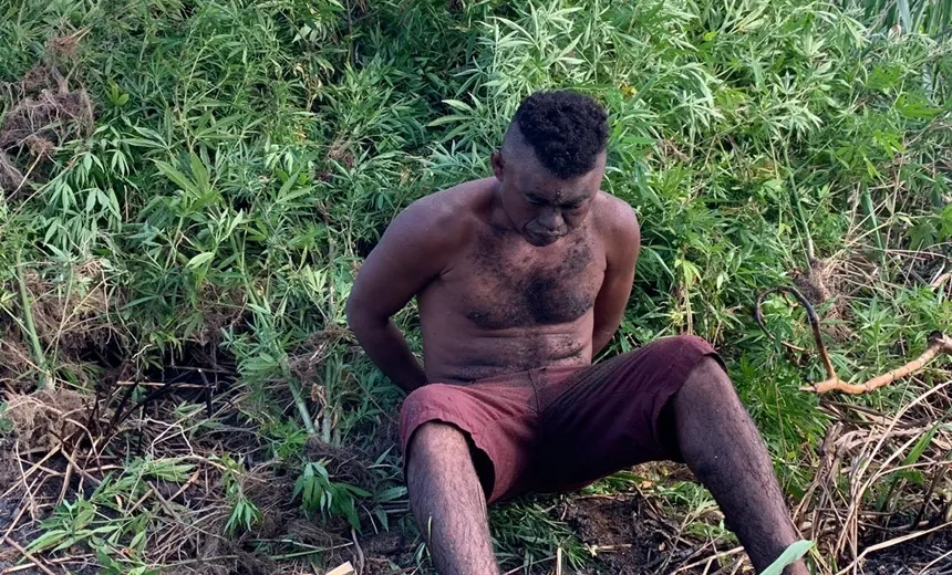 Após denúncia, homem é preso com cinco mil pés de maconha na Bahia