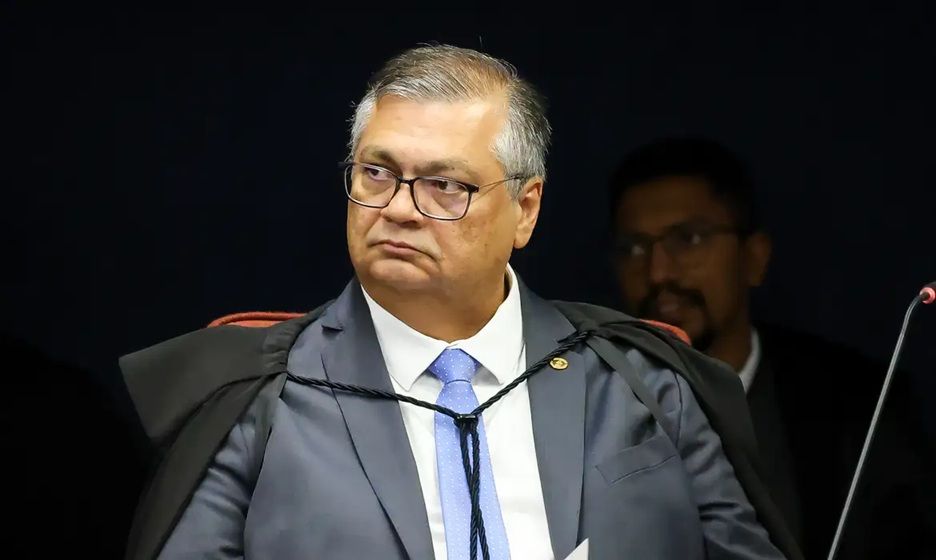 Dino Autoriza Desapropriação De Terra Por Incêndio E Desmatamento Ilegal