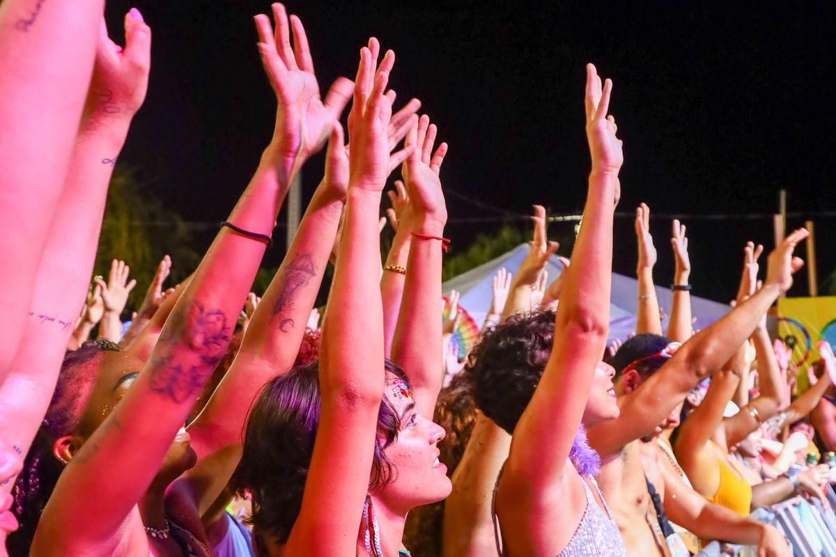 Carnaval Nos Bairros. \ Foto: Jefferson Dias/Secom
