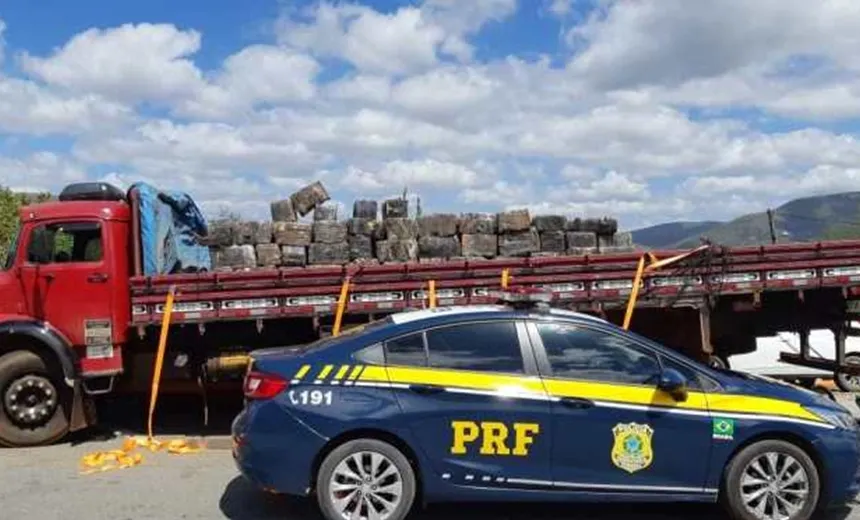 Jequié: PRF apreende 3,25 toneladas de maconha na BR 116; veja vídeo