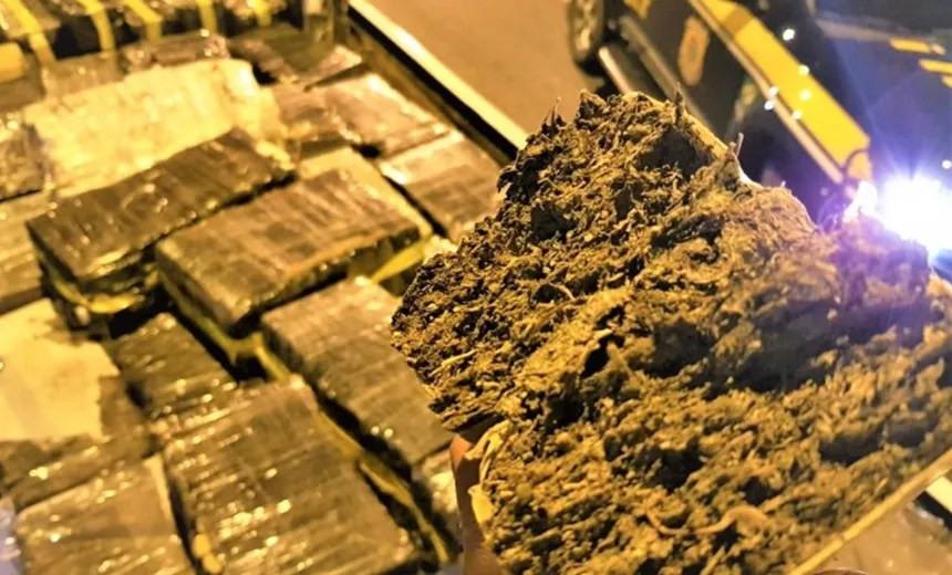 Motorista provoca acidente durante fuga e PRF apreende maconha escondida na carroceria de caminhão