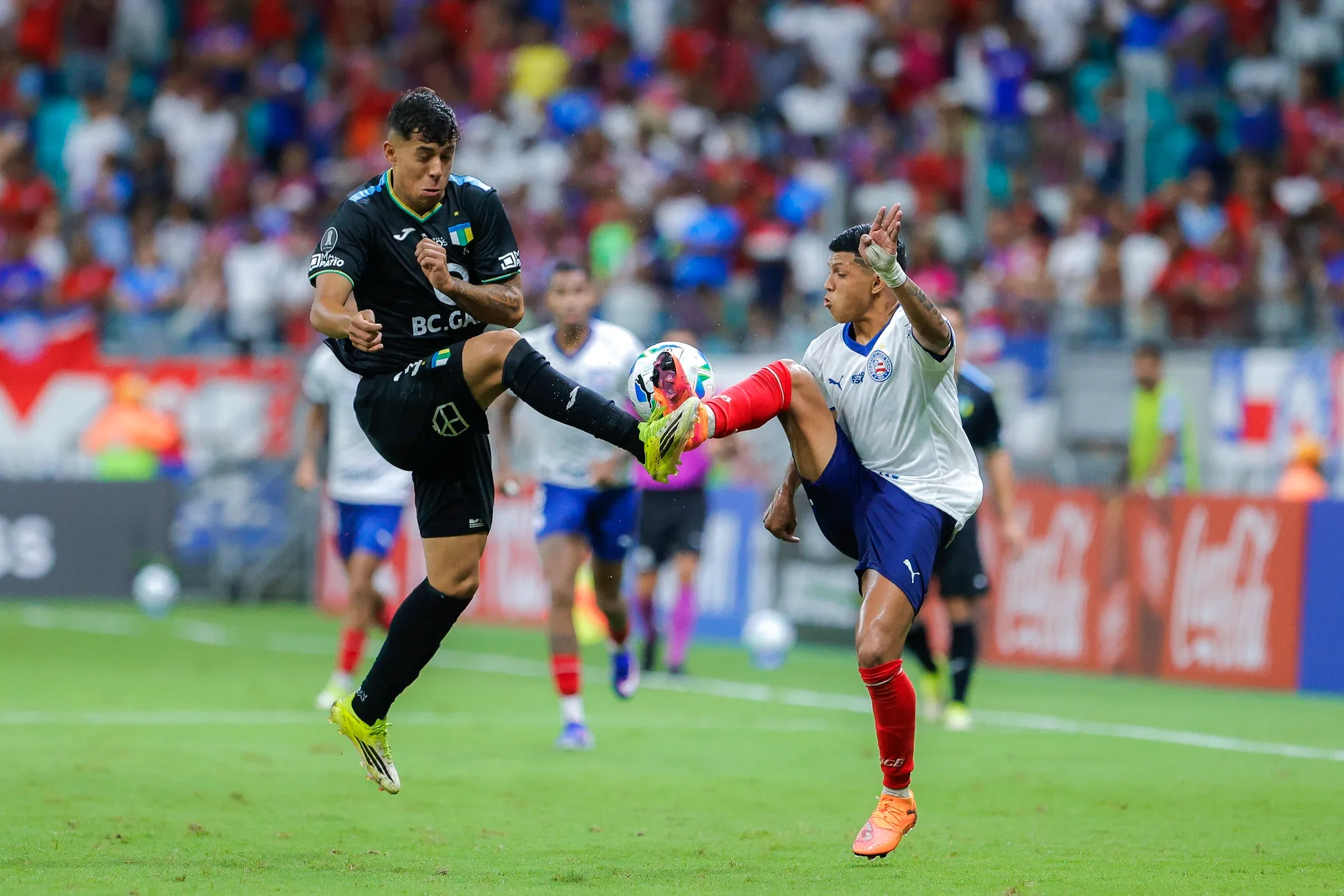 Quanto o Bahia deixa de ganhar após eliminação precoce na Lbertadores?