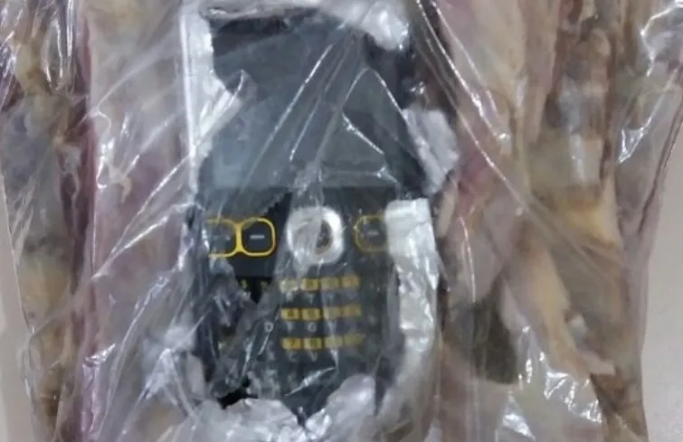 NO FLAGRA: Celular é encontrado em pedaço de carne durante revista em delegacia