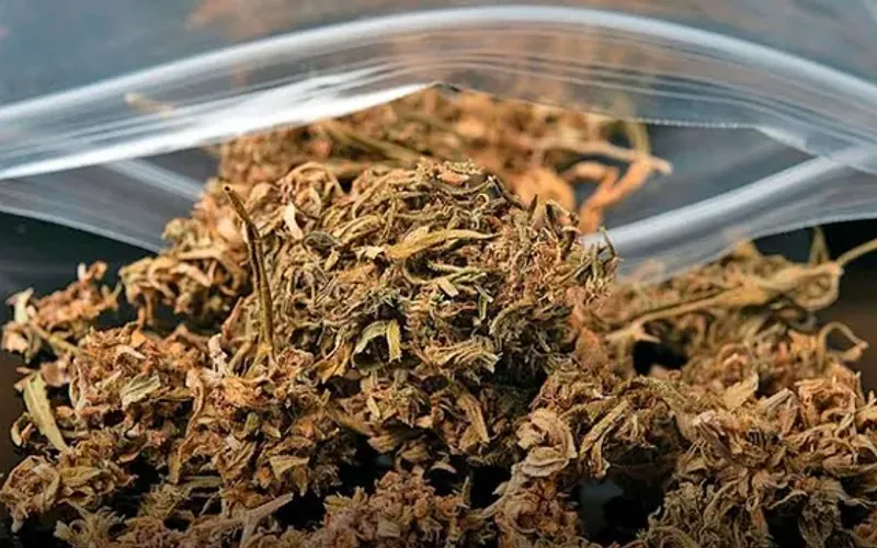 A atuação contra organizações criminosas ajuda a reduzir não apenas o tráfico de drogas, mas também crimes relacionados, como lavagem de dinheiro, roubos e homicídios/Foto: Reprodução