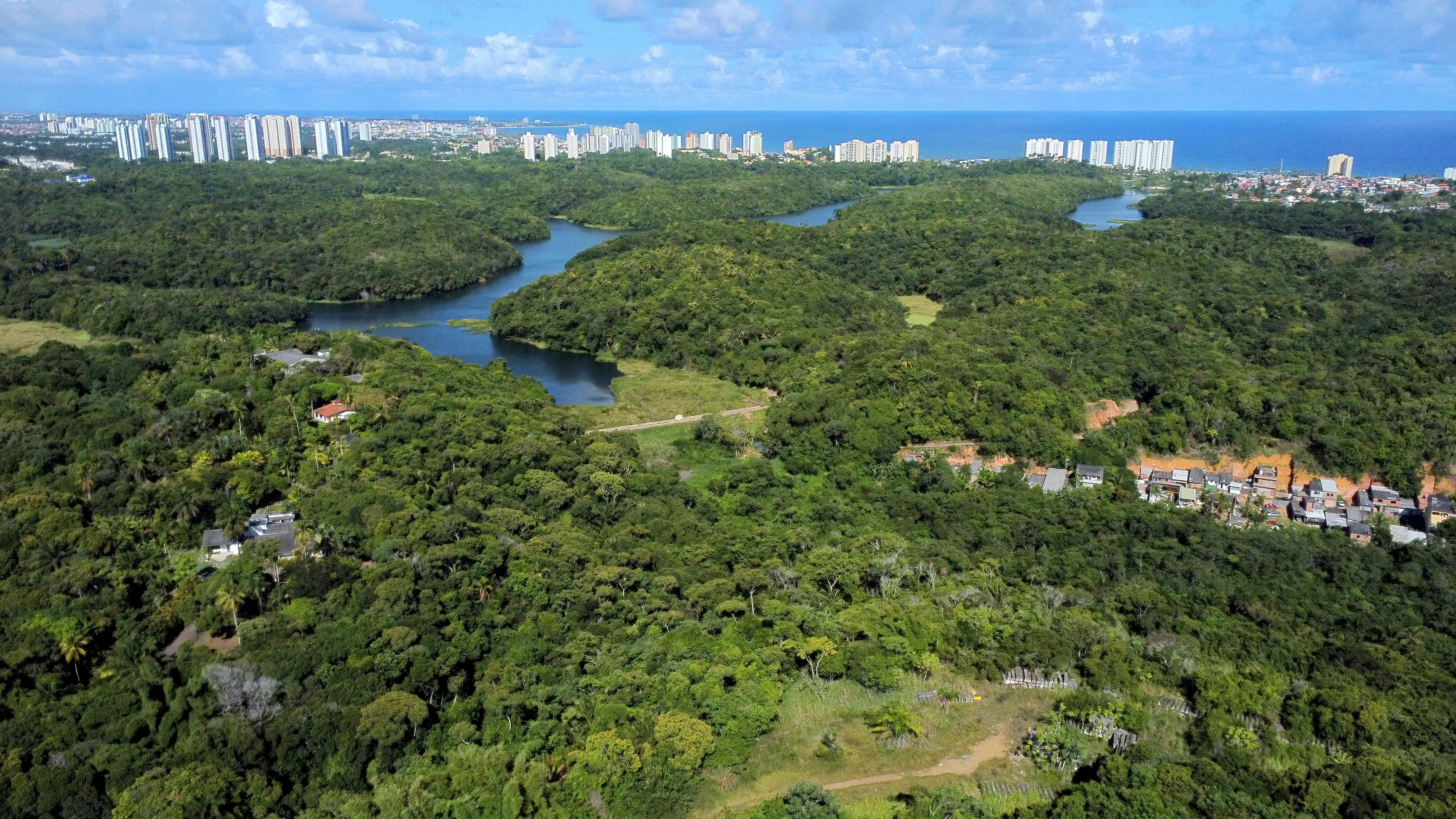 TCE aponta falhas e cobra planos do governo para meio ambiente na Bahia