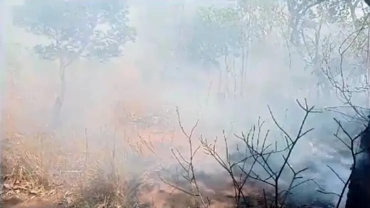 Após 2 dias, incêndio florestal termina na Serra do Mimo
