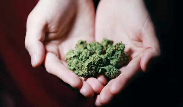  Policiais apreendem sete quilos de maconha e 260 pedras de crack durante operação em Vilas de Abrantes