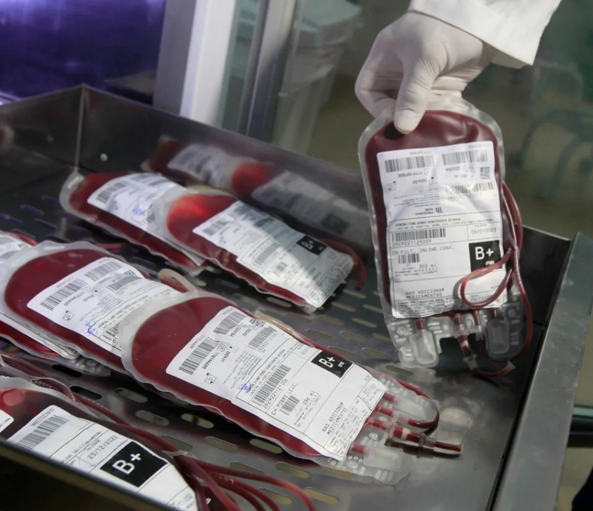 Hemoba está com estoque crítico de sangue; saiba como doar