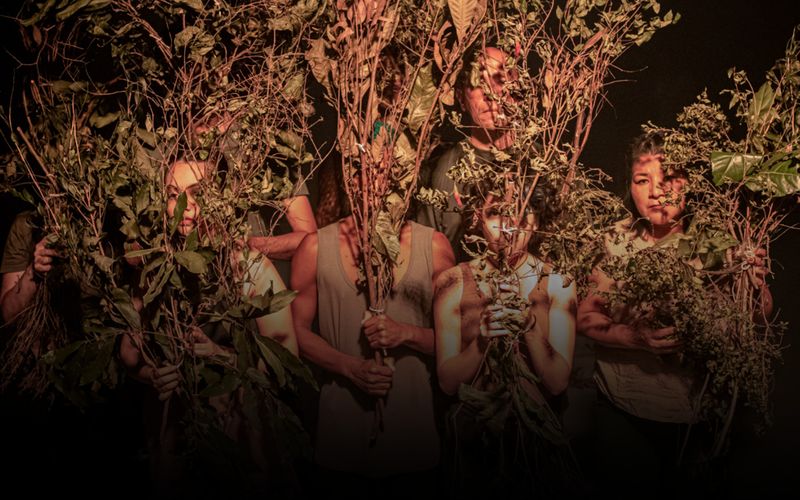 Uma experi&ecirc;ncia sensorial que une dan&ccedil;a e reflex&atilde;o ecol&oacute;gica, transformando o palco em um ecossistema vivo e propondo conex&atilde;o entre corpo e natureza/Foto: Divulga&ccedil;&atilde;o&nbsp;