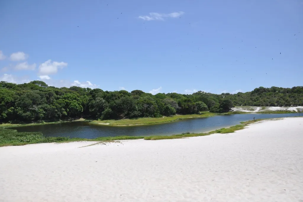 Homem desaparecido é encontrado morto na Lagoa do Abaeté, em Salvador 