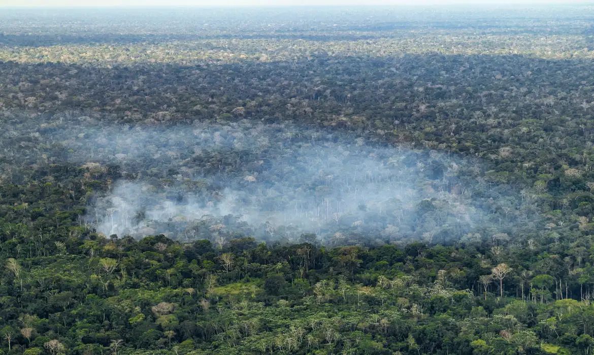 Desmatamento e queimadas est&atilde;o por tr&aacute;s das emiss&otilde;es de carbono na amaz&ocirc;nia | Foto: Rafa Neddermeyer/Ag&ecirc;ncia Brasil