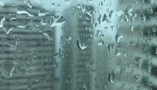 Com temperaturas amenas na região, nordestinos ironizam onda de frio em outras partes do Brasil; veja memes 