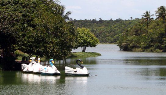 Governo da Bahia fecha parceria com BNDES para viabilizar concess&atilde;o do Parque de Pitua&ccedil;u &agrave; iniciativa privada