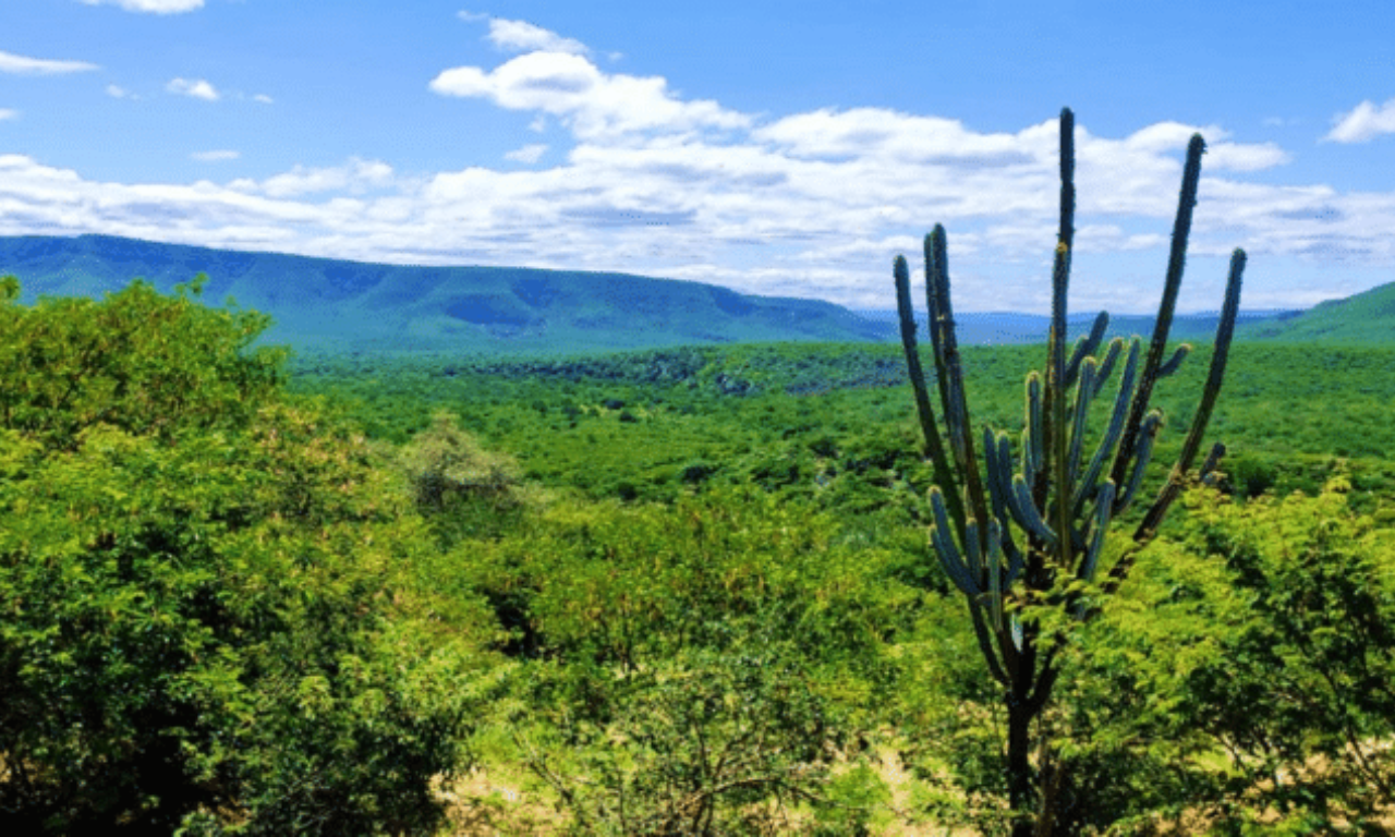 Parque Nacional do Boqueirão da Onça. Foto: Reprodução