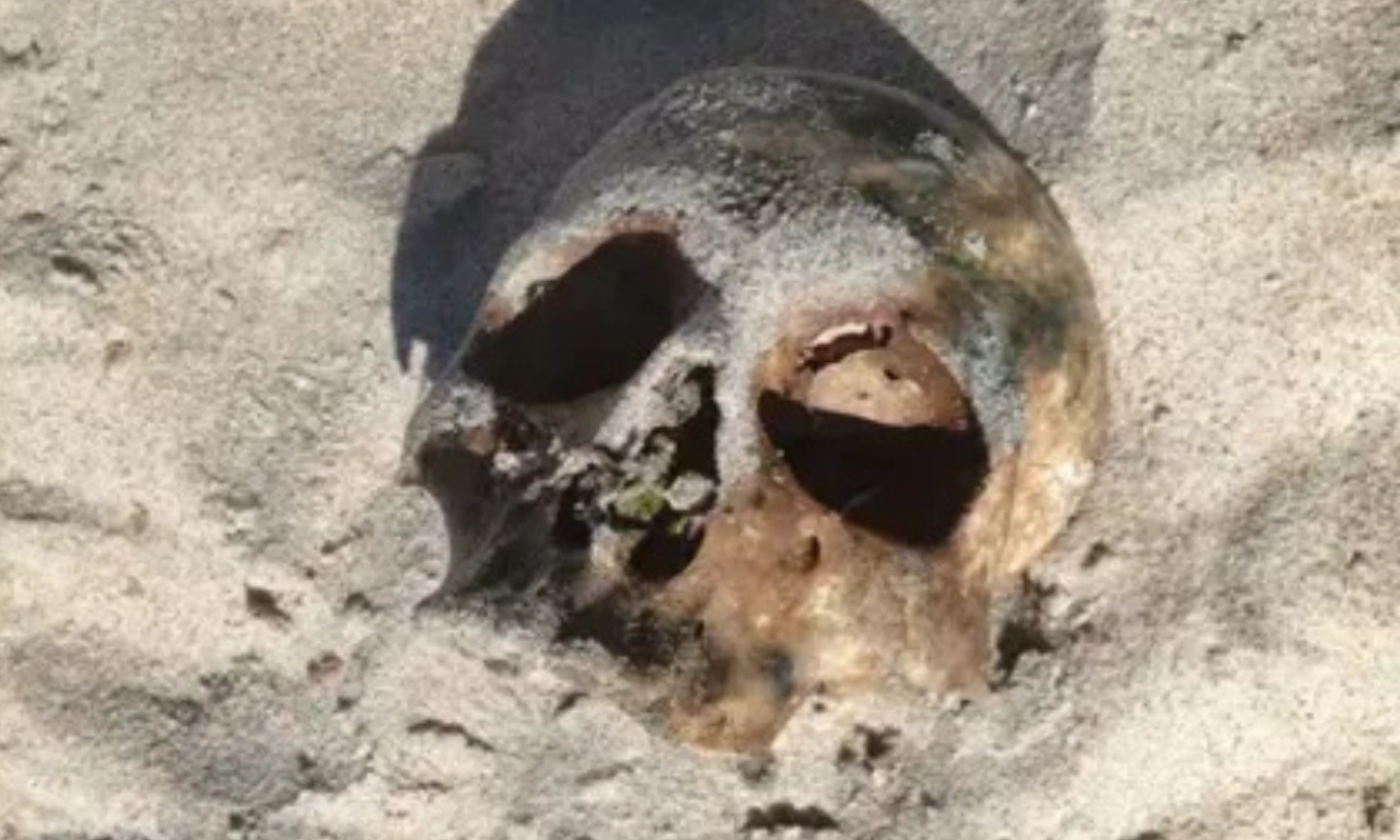 Cr&acirc;nio &eacute; encontrado por banhistas na Praia de Itapu&atilde;, em Salvador. Foto: Reprodu&ccedil;&atilde;o