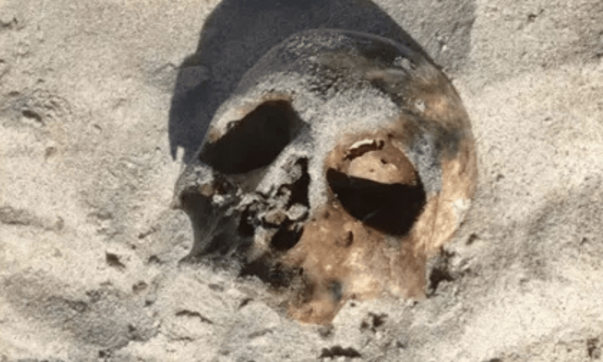 Crânio é encontrado por banhistas na Praia de Itapuã, em Salvador