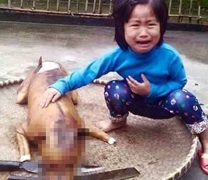 Menina de 5 anos chora ao achar seu cachorro assado em mercado