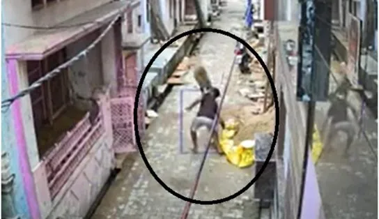 Pegou ar! Após ser alvo de pedradas, macaco dá "golpe de luta livre" e joga homem no chão; veja vídeo