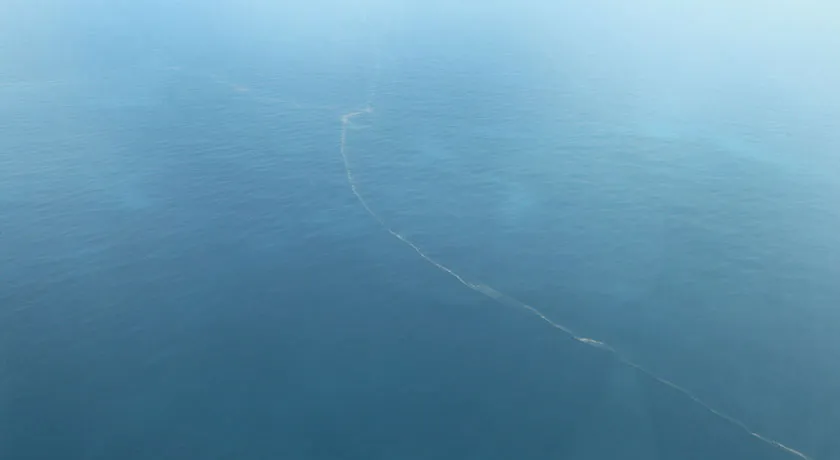 Secretário diz que mancha em Abrolhos ?pode ser de Mariana?, mas aguarda resultados