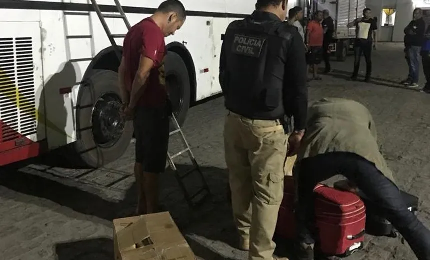 Polícia localiza mais de 100 kg de maconha em ônibus na BR-116
