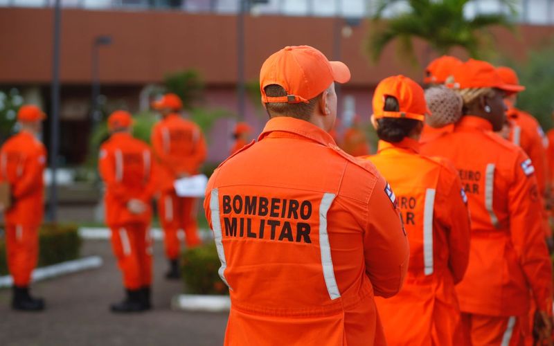 O Corpo de Bombeiros recomenda que ataques de abelhas sejam tratados como emerg&ecirc;ncia, especialmente quando h&aacute; m&uacute;ltiplas v&iacute;timas ou pessoas com hist&oacute;rico de alergia/Foto: Jo&aacute; Souza/GOVBA