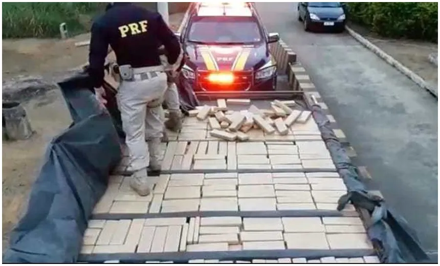 PRF apreende quase 1 tonelada de maconha escondida em caminhão ‘clonado’