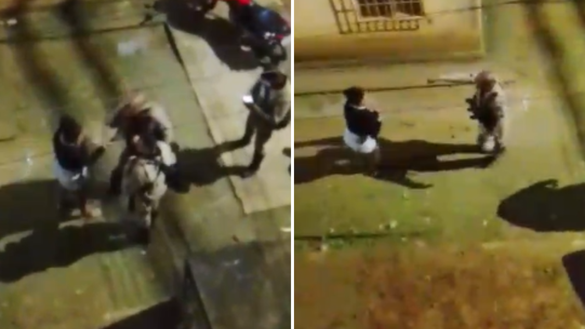 Policial militar que agrediu mulher com tapa no rosto em Feira de Santana é investigado. Foto: Reprodução Redes Sociais