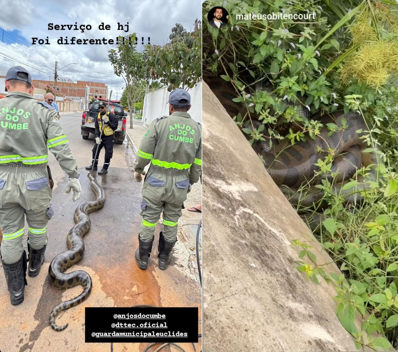 Fotos: reprodução/Instagram