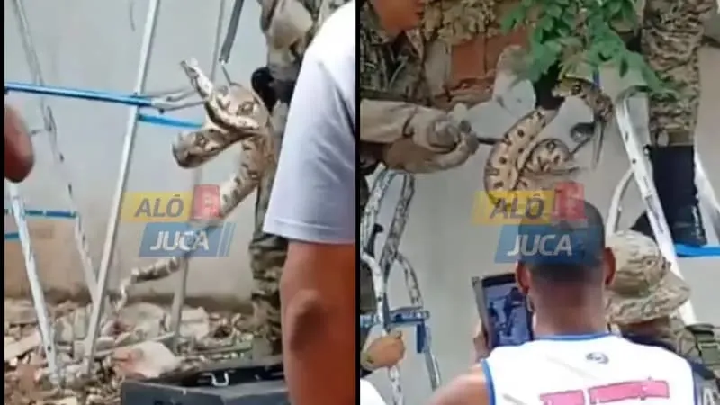 VÍDEO: cobra é encontrada em escola estadual no Stiep, em Salvador