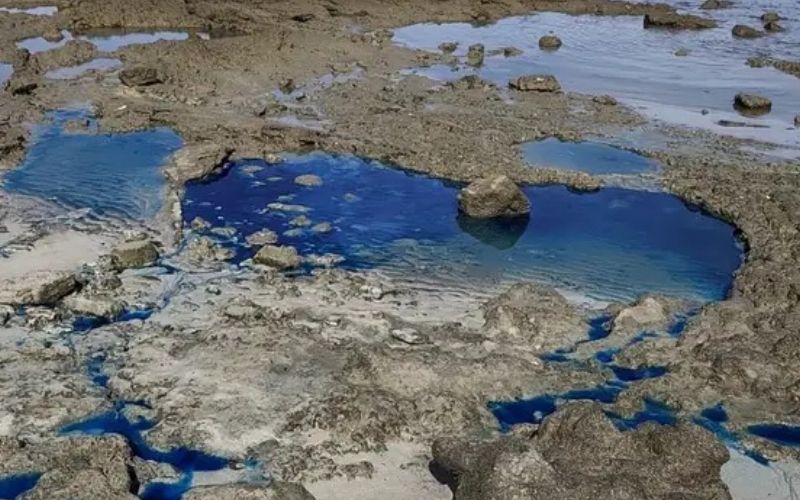 A contamina&ccedil;&atilde;o qu&iacute;mica em praias pode comprometer a qualidade da &aacute;gua e impactar diretamente atividades de lazer, turismo e pesca artesanal/Foto: Redes Sociais&nbsp;