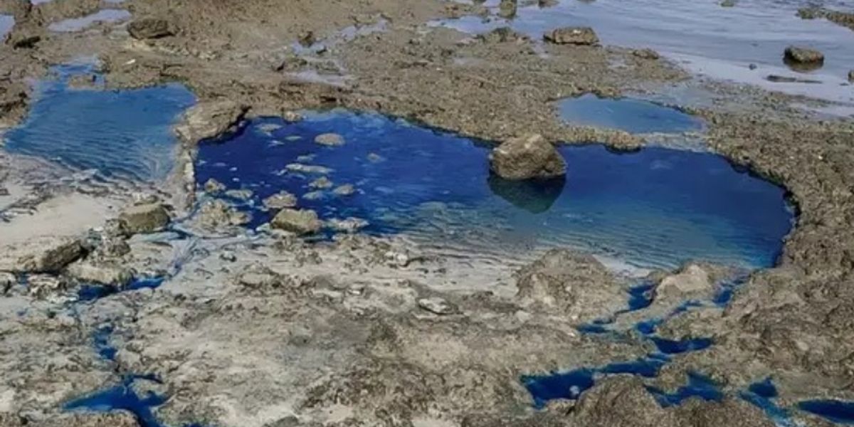 Praia de S&atilde;o Tom&eacute; de Paripe, em Salvador, teve situa&ccedil;&atilde;o de emerg&ecirc;ncia prorrogada ap&oacute;s contamina&ccedil;&atilde;o 