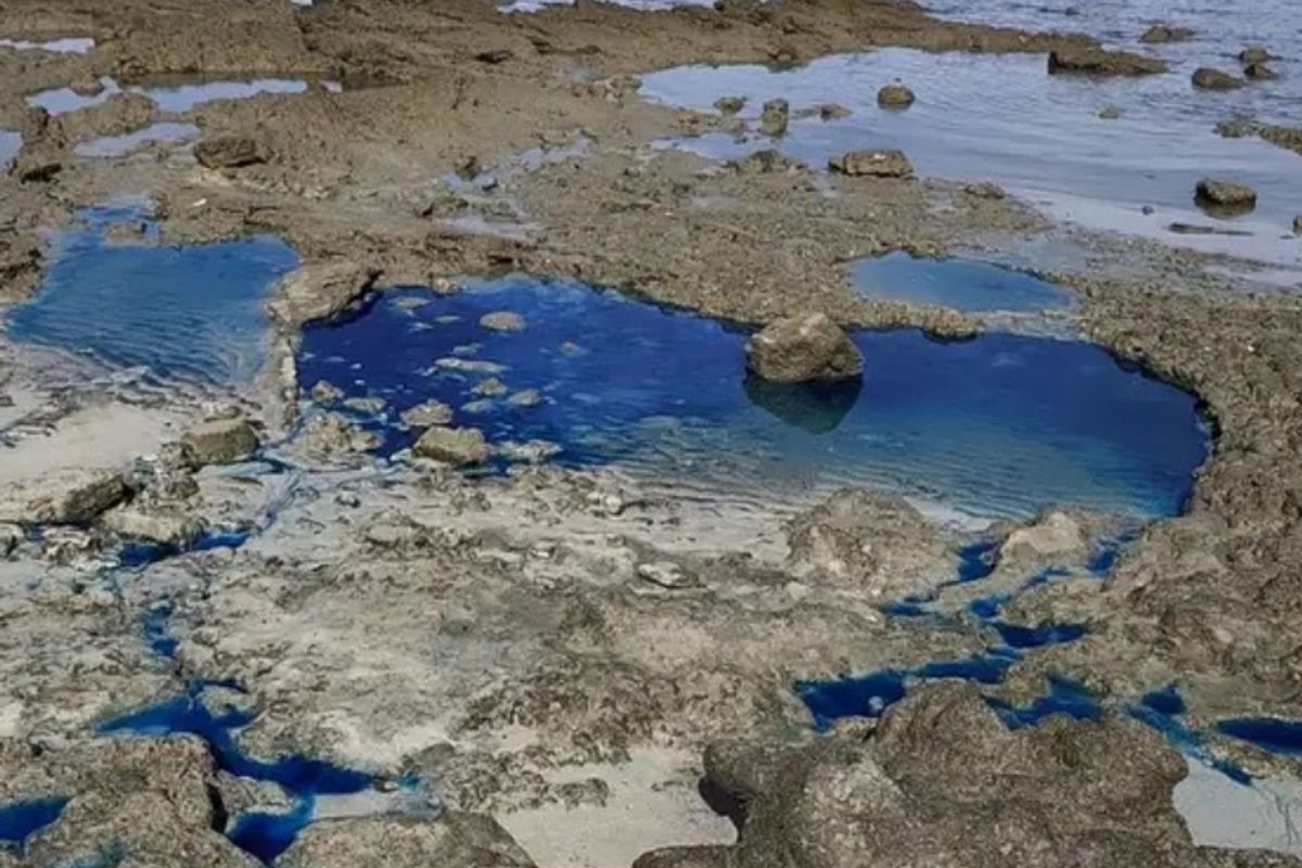 &Aacute;rea da praia de S&atilde;o Tom&eacute; de Paripe, em Salvador, onde o MPF investiga os impactos ambientais e sociais da contamina&ccedil;&atilde;o por res&iacute;duos poluentes 
