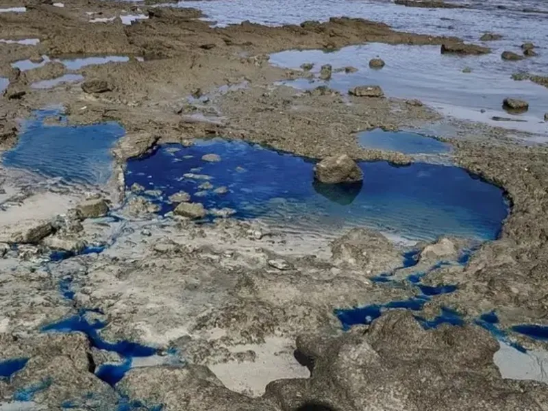 Praia de São Tomé de Paripe, em Salvador, alvo de investigação do MPF após identificação de resíduos poluentes e possível impacto ambiental em comunidades tradicionais 