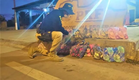 Carga com centenas de calçados falsificados e sem nota fiscal é apreendida em ônibus na BR-242