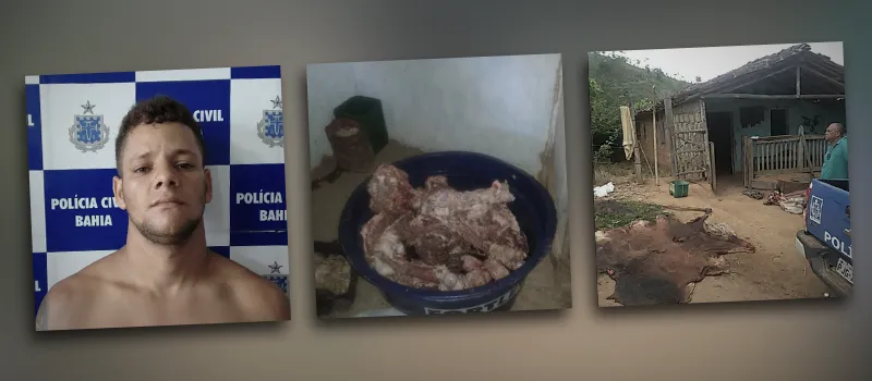 ‘VALEU, BOI’: Homem é preso e gado avaliado em R$ 50 mil é recuperado na Bahia