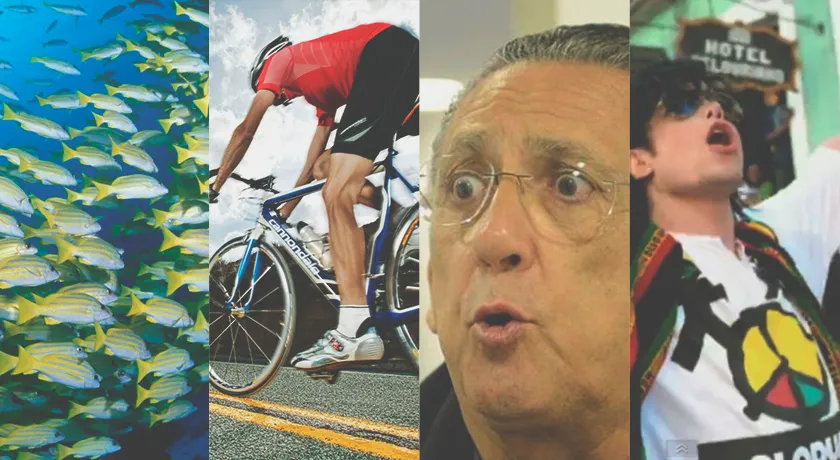 QUE VIAGEM: Sete projetos bizarros apresentados (e até aprovados) na Câmara Municipal de Salvador