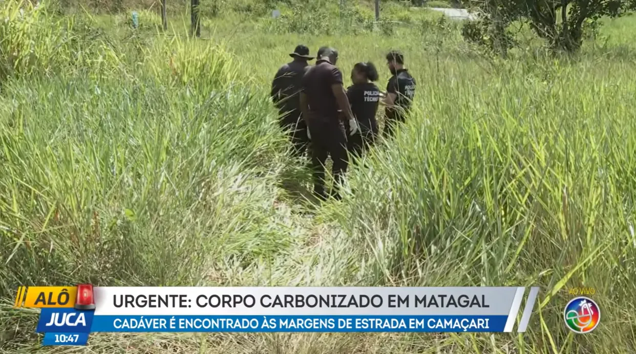 Corpo carbonizado é encontrado às margens de rodovia em Camaçari