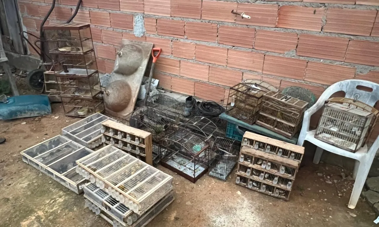 Duas pessoas são presas suspeitas de tráfico de animais silvestres na Bahia