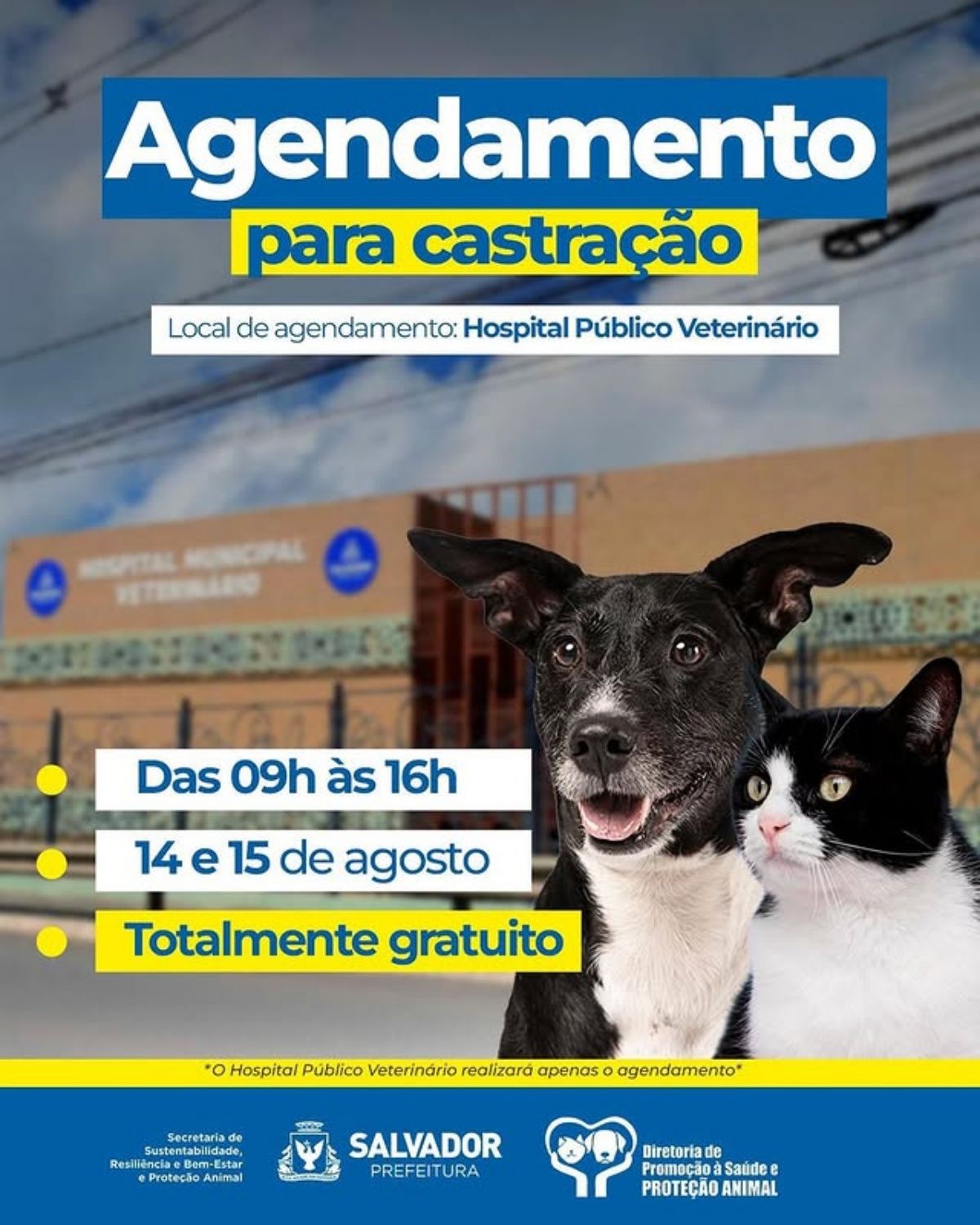 O mutirão de castração acontece no Hospital Municipal de Salvador. Foto: Instagram