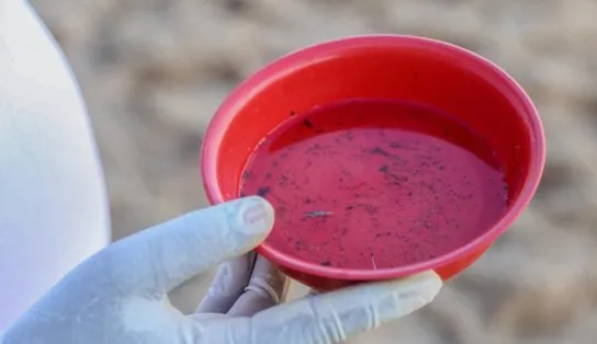 Xô, mosquito! Após pausa devido à pandemia, agentes de endemias retomam visitação em Salvador